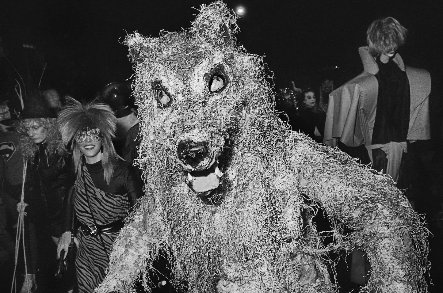 Wolf