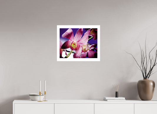 Floral #053
