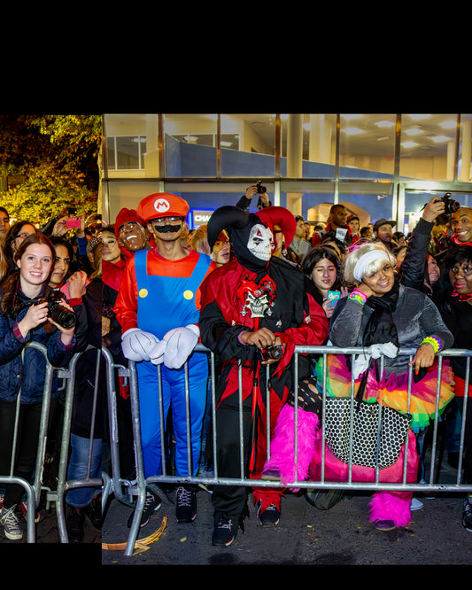 2013 Village Halloween Parade Spectator Panoramic Panel 18