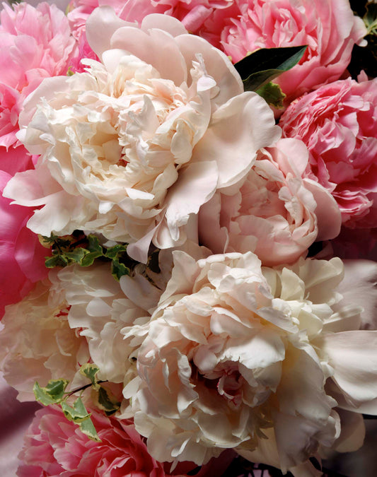 Floral #059