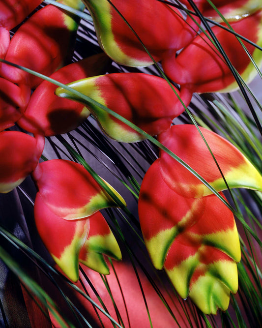 Floral #602